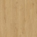 MJ3546 Bosland eik natuur