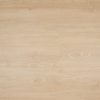 Therdex | Basic - plak - Thumbnail Image 4