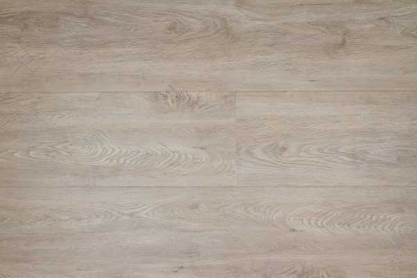Therdex | Basic - plak