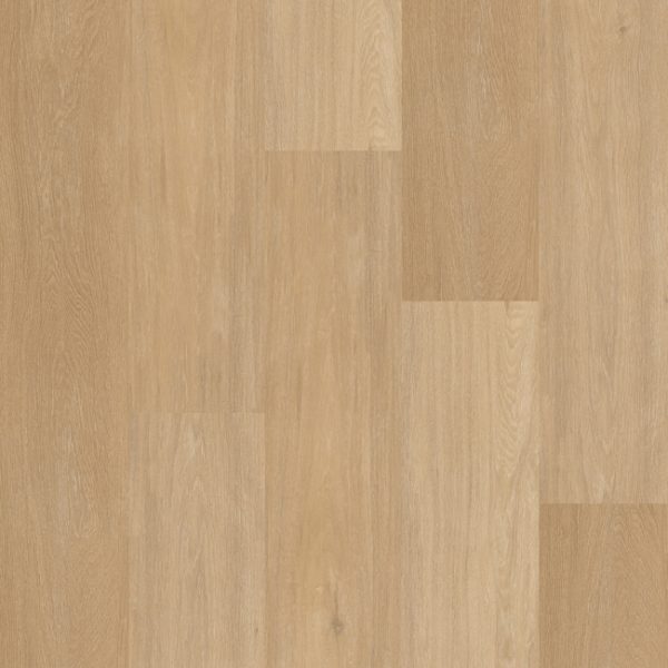 Therdex | Chevron XL - plak - Afbeelding 2