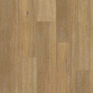 Therdex | Chevron XL - plak