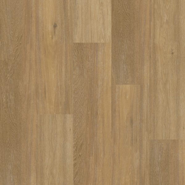 Therdex | Chevron XL - plak