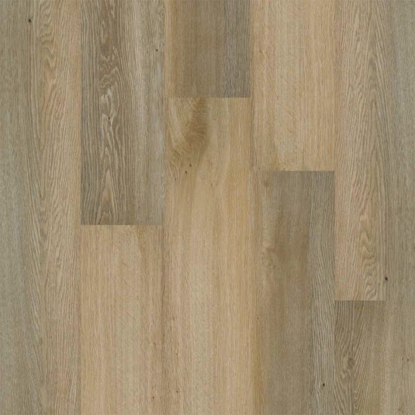 Therdex | Premium - plak - Afbeelding 4