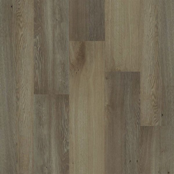Therdex | Premium - plak - Afbeelding 3