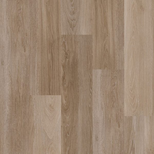 Therdex | Original¹ - plak - Afbeelding 4