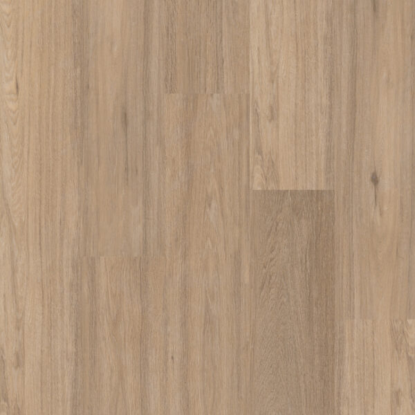 Therdex | Regular - klik
