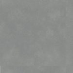 10021