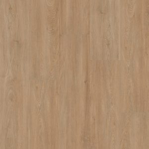 Therdex | Xstralong - plak