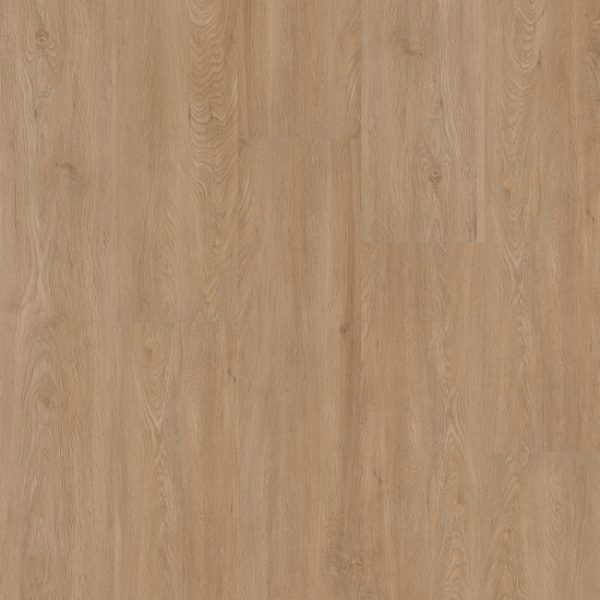 Therdex | Xstralong - plak