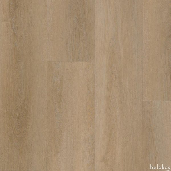 Belakos | Attico - plak - Afbeelding 3