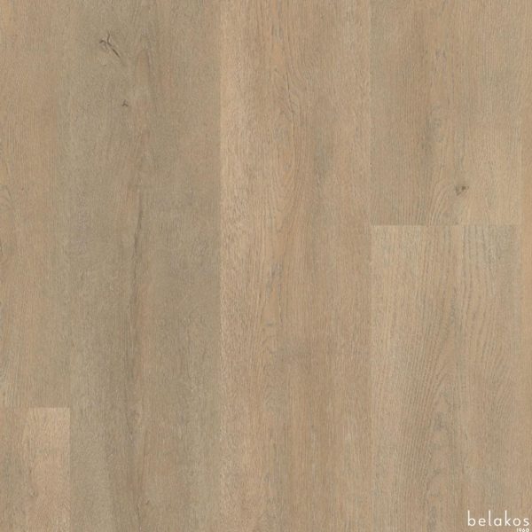 Belakos | Palazzo - plak