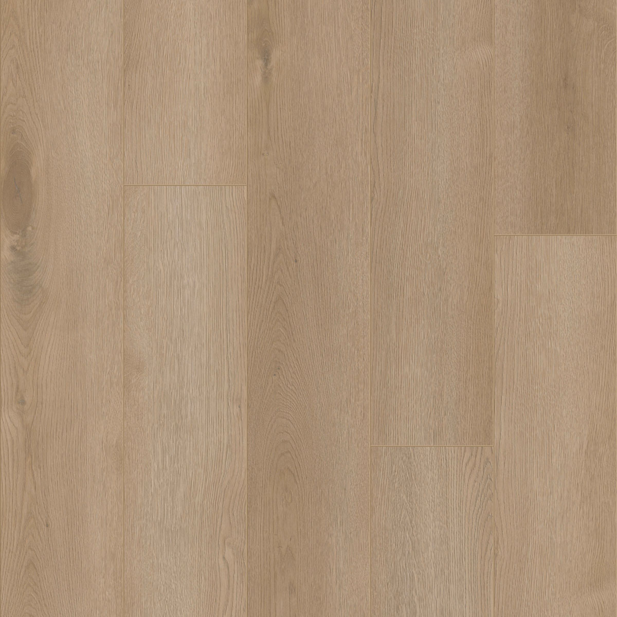 COREtec | Authentics 1800