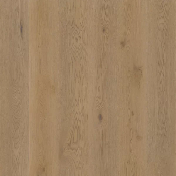 Therdex | Authentic - plak