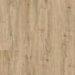 Chanterelle F011