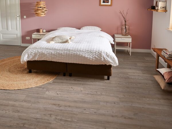 mFlor | Argyll Fir - Afbeelding 4