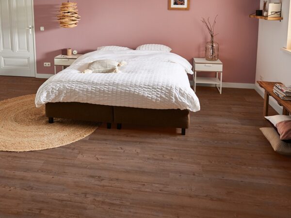 mFlor | Argyll Fir - Afbeelding 6