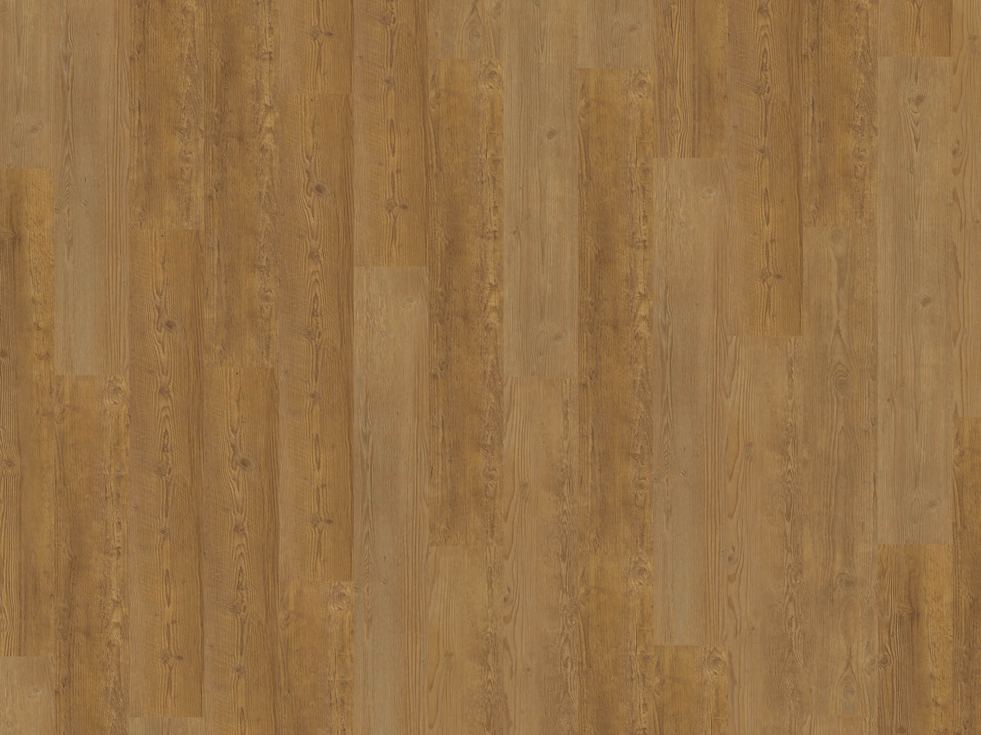 mFlor | Authentic Hervik