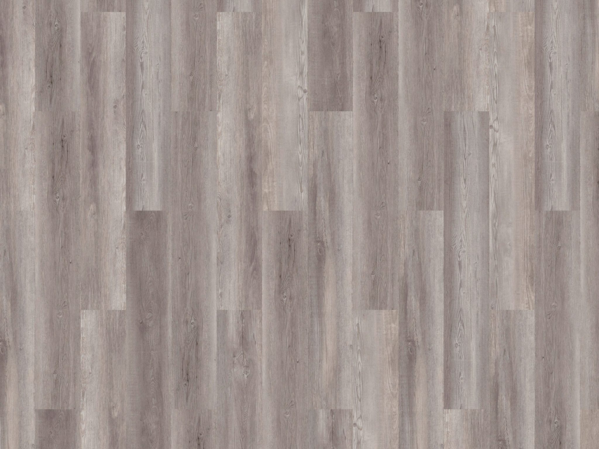 mFlor | Authentic Lake