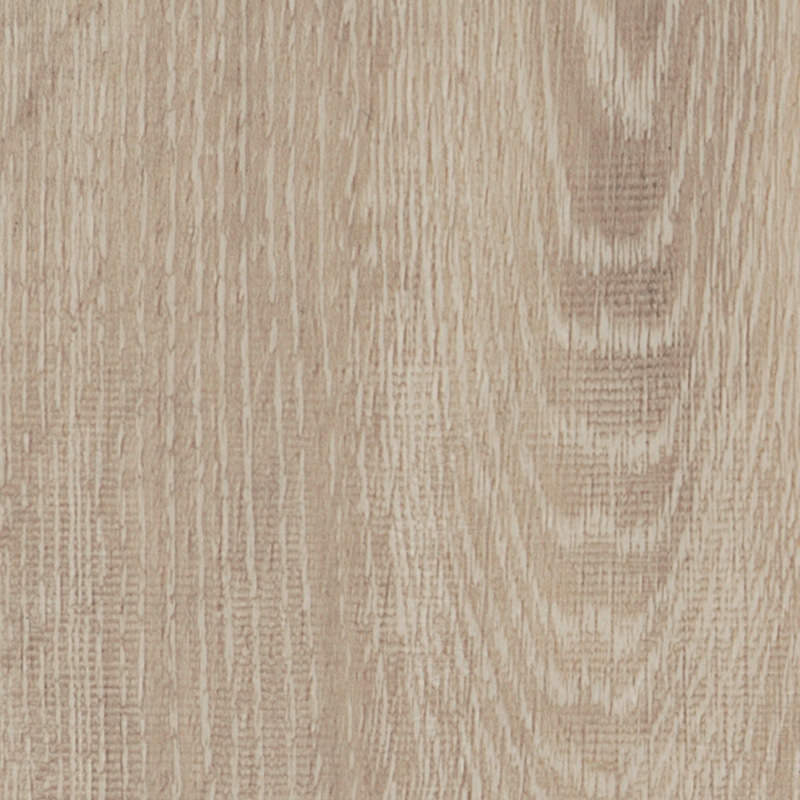 mFlor | Authentic Parva Oak XL