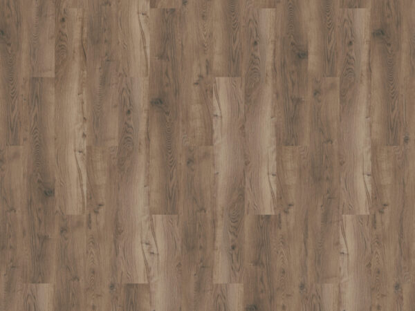 mFlor | Bramber Chestnut