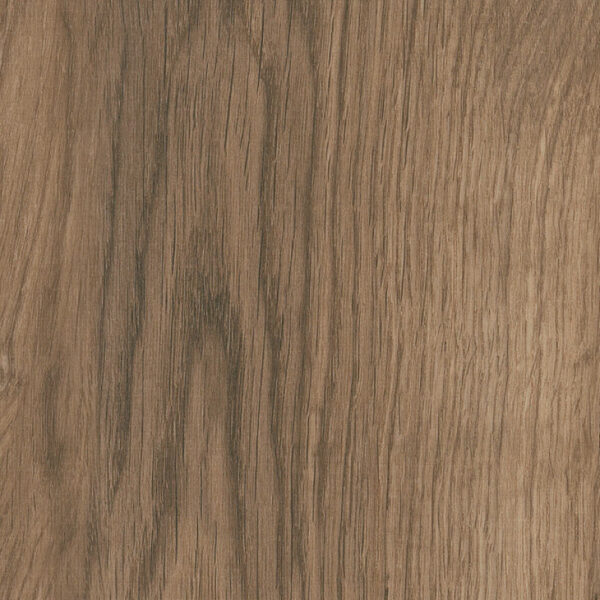 mFlor | Bramber Chestnut
