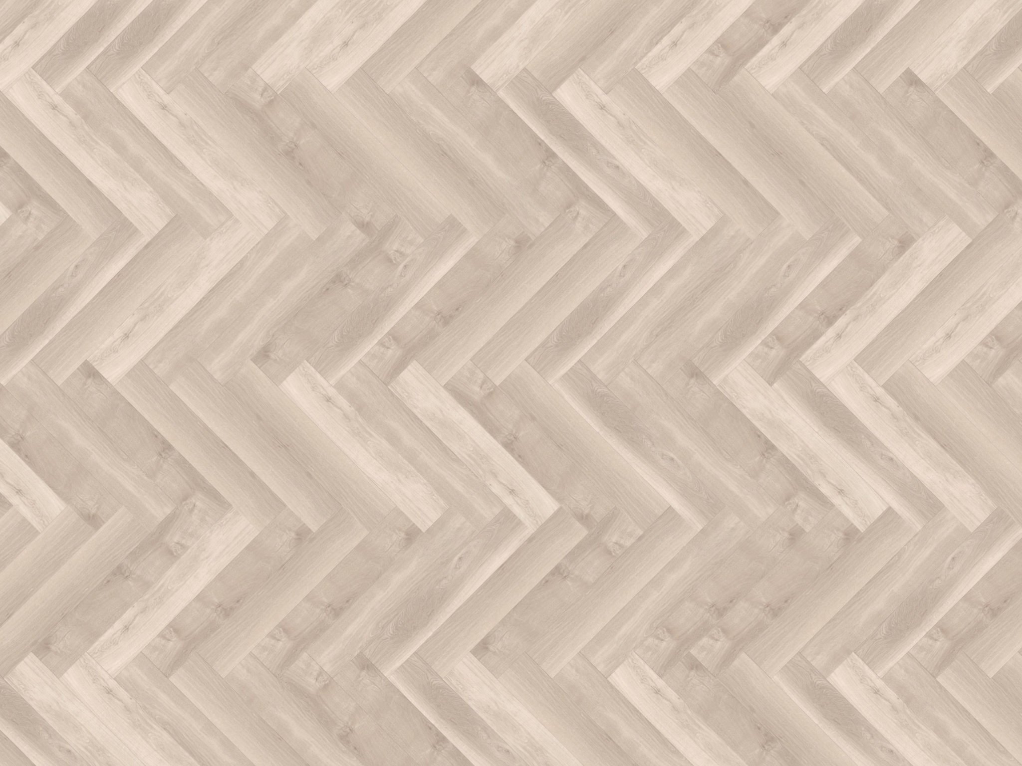 mFlor | Parva Broad Leaf