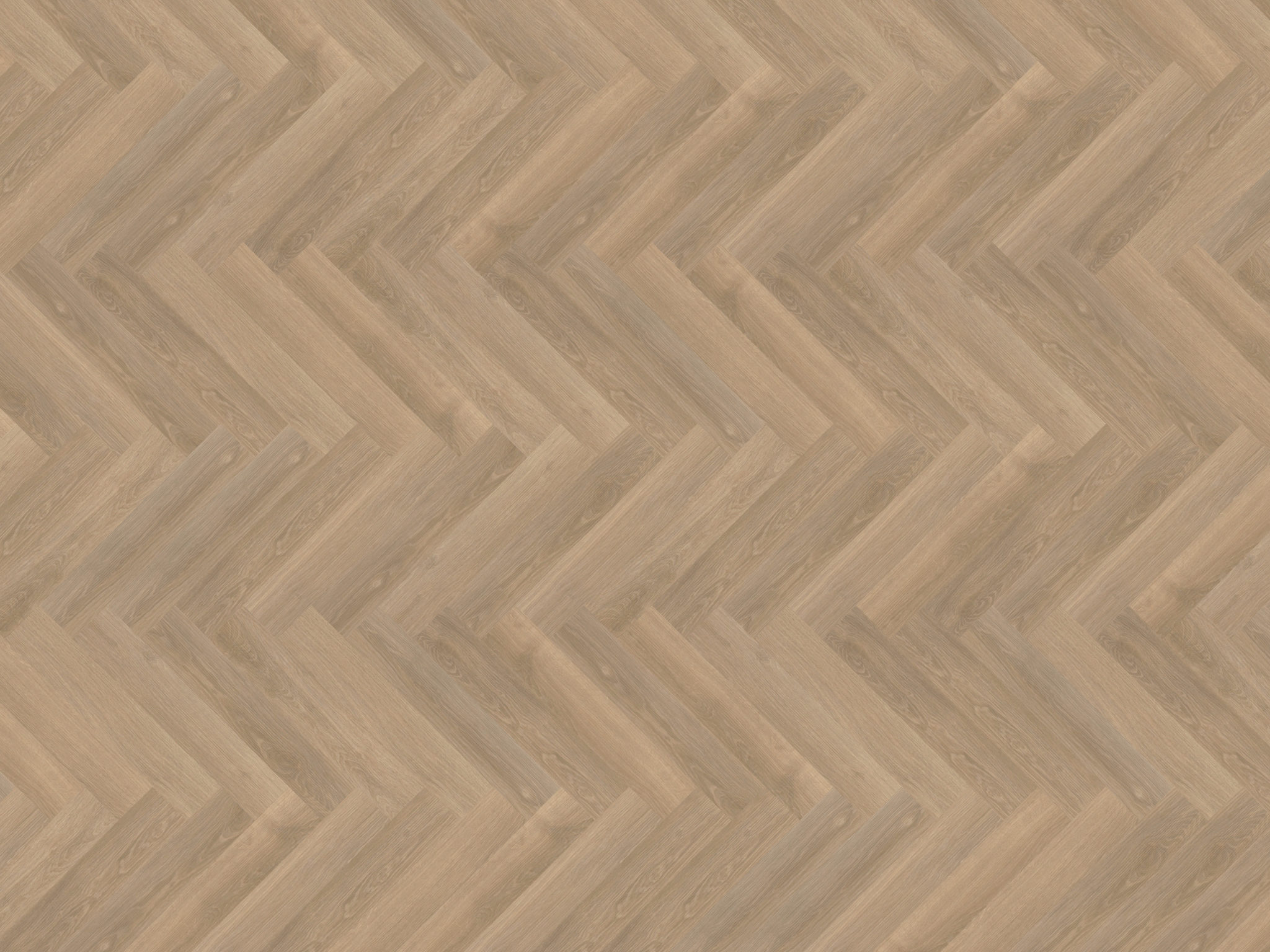 mFlor | Parva River Oak