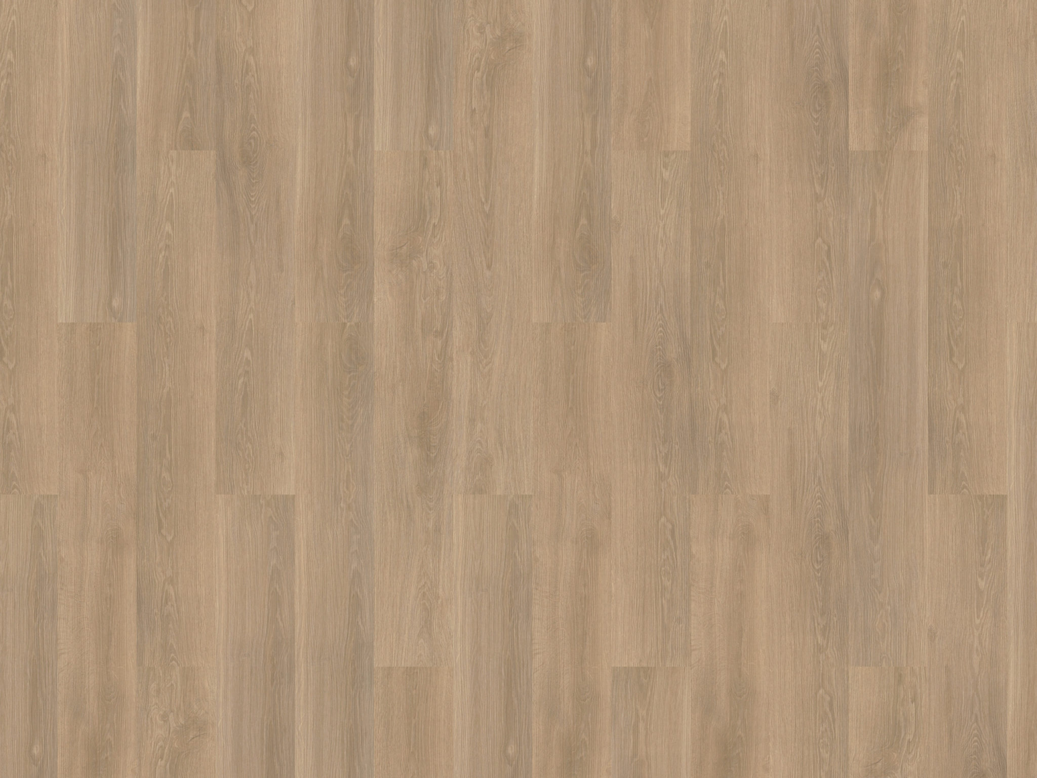 mFlor | River Oak XL