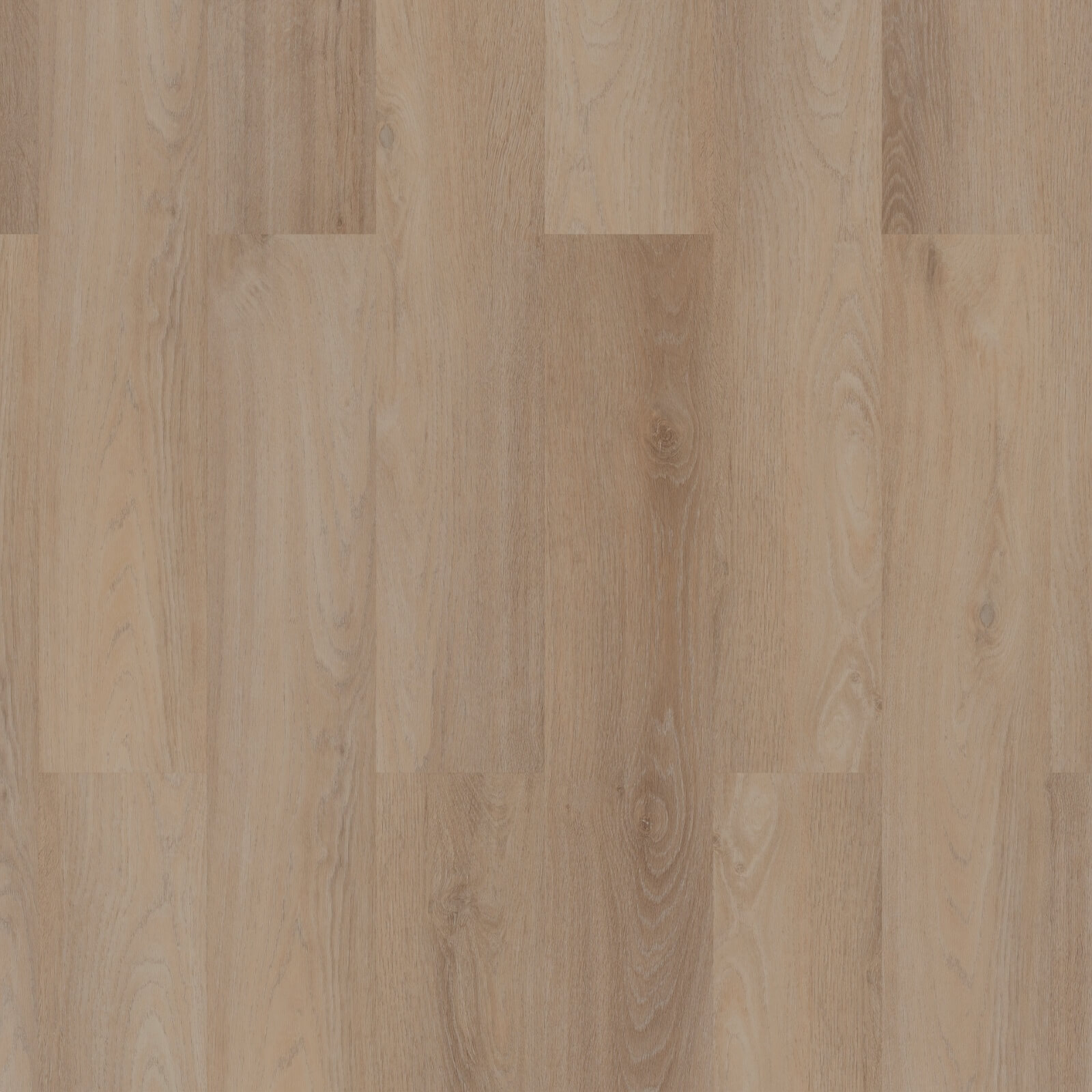 Room 5 | Planken - plak