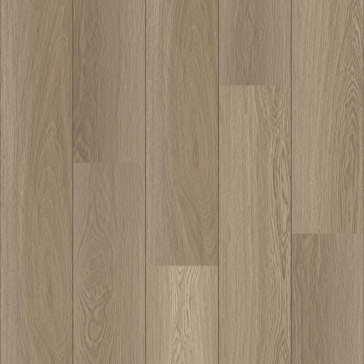 COREtec | Authentics 1200 ++