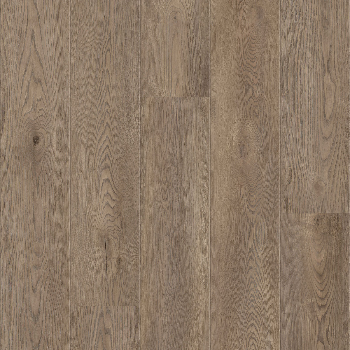 COREtec | Authentics 1800 +