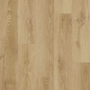 COREtec | ProPlus 1200