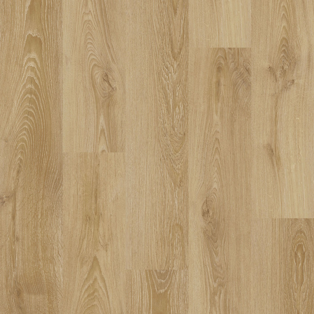 COREtec | ProPlus 1200