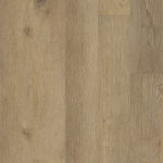 Montclair 50 LVREXL 2557