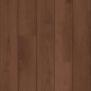 COREtec | SurPlus 1200 2V Black