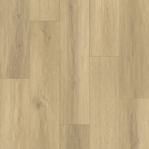 Gelasta | Artline Register