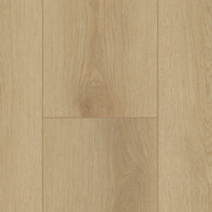 Gelasta | Firmfit Silent