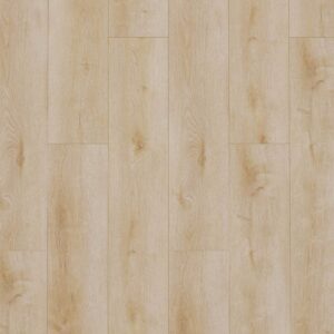 Gelasta | Dynamic PVC plak