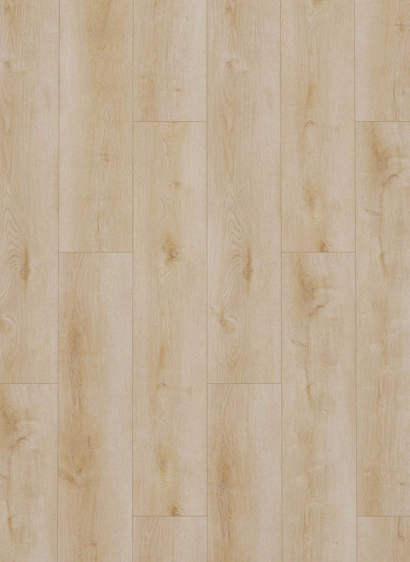 Gelasta | Dynamic PVC plak